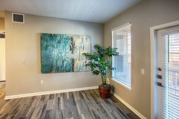Tree In Unfinished Room at Stone Cliff Apartments